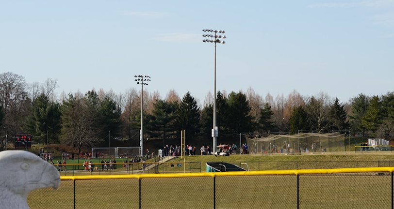 A sports field with a group of people engaging in athletic activities in the background. There is sports equipment like a soccer goal and a scoreboard visible. A chain-link fence runs across the foreground, and a statue or sculpture resembling an eagle is also seen. Trees and tall floodlights are positioned behind the field.